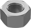 Hex Nut